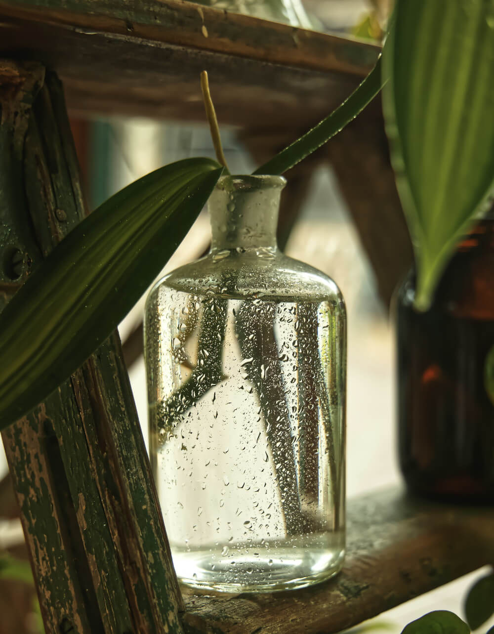 A bottle with a plant inside