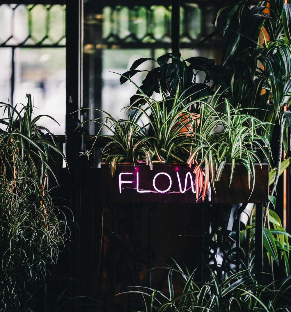 A flow neon amongst greenery